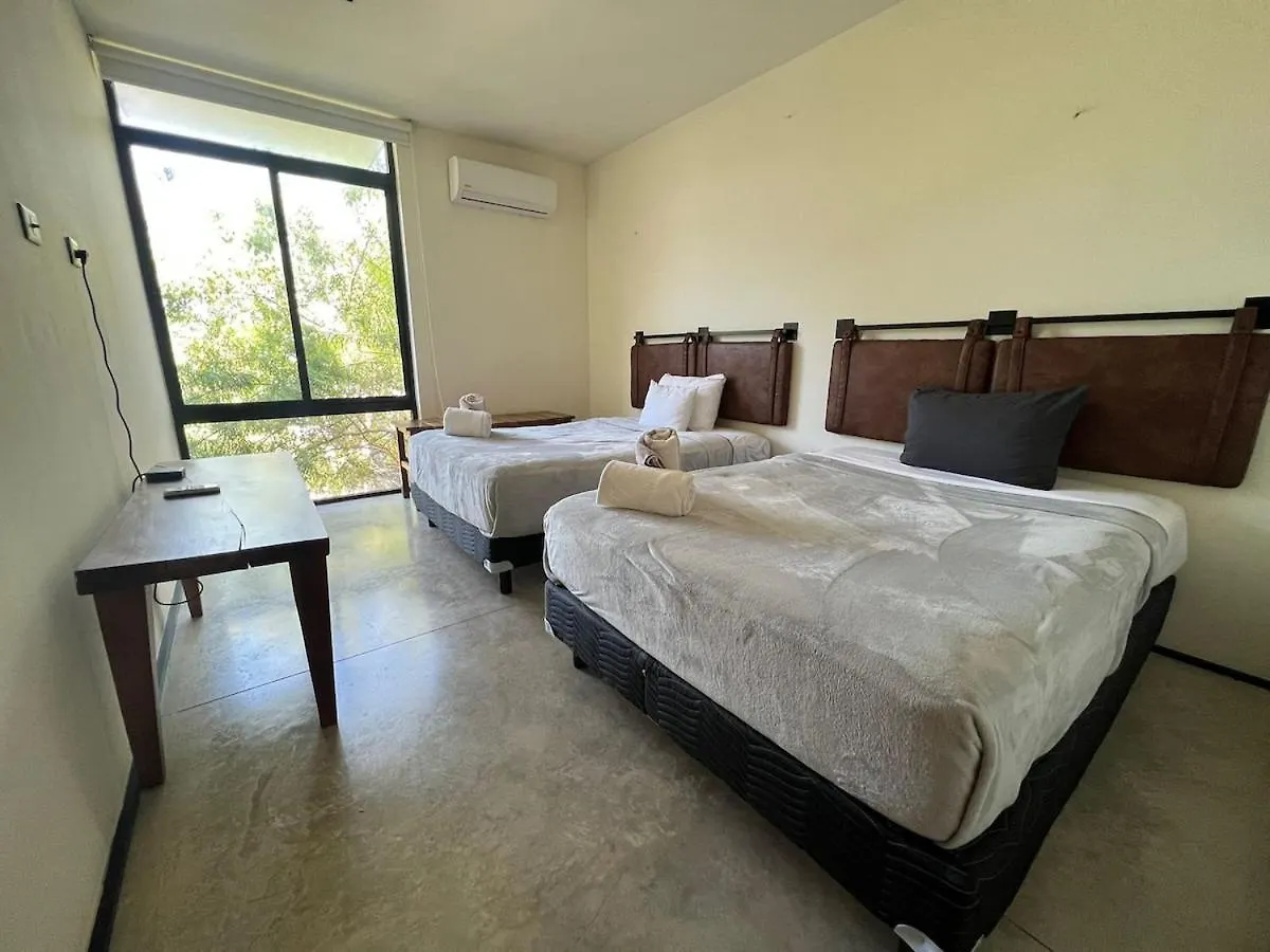 Private Rooftop With Jacuzzi Sleeps 8 In La Veleta Tulum